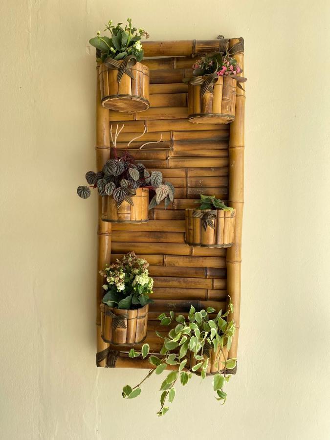 & Bella Vista